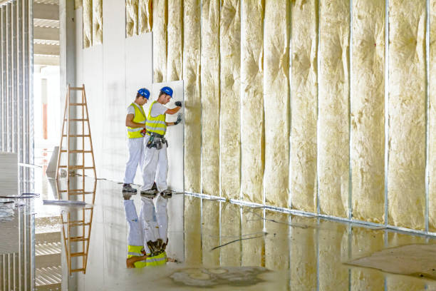Best Residential Insulation in South Point, OH